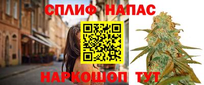 ГАЛЛЮЦИНОГЕННЫЕ ГРИБЫ Шахты