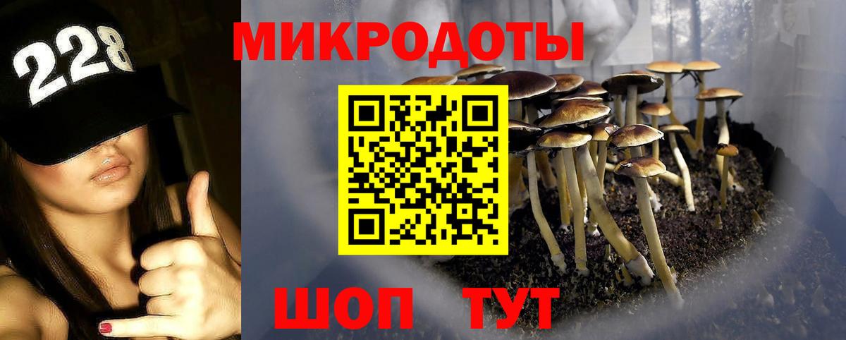 Псилоцибиновые грибы Cubensis  закладка  Псилоцибиновые грибы ЛСД  Севастополь  Вход с VPN 