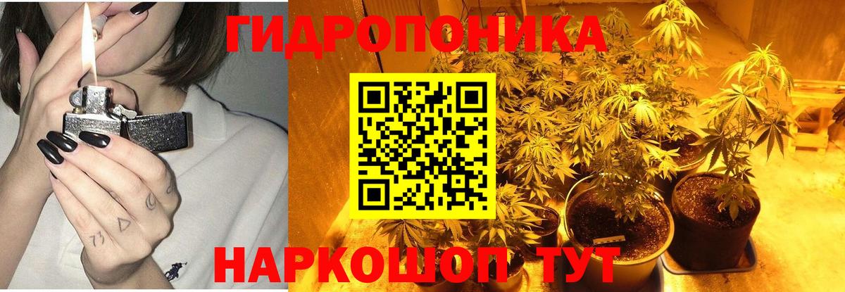 Бошки Шишки MAZAR Севастополь